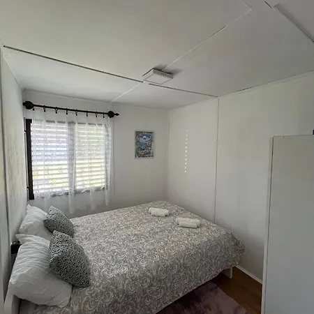 Hibiscus * بالاتونفينيفيس