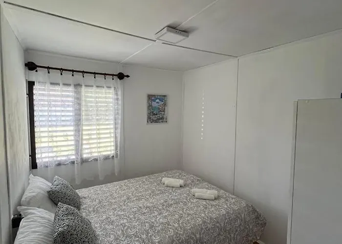 Hibiscus * バラトンフェニヴェシュ